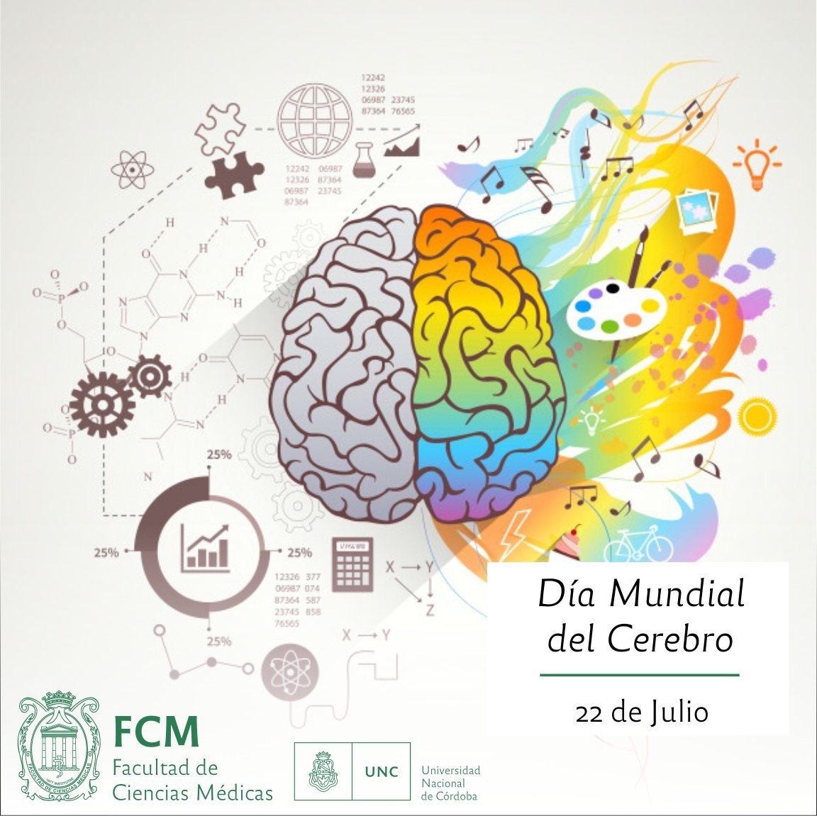 22 De Julio “día Mundial Del Cerebro” Facultad De Ciencias Médicas 0252