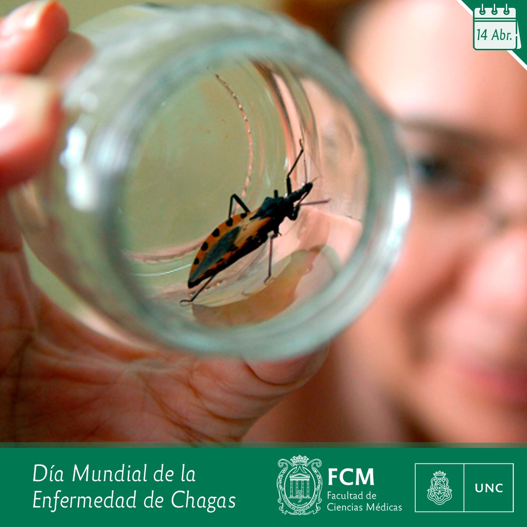 14 De Abril: “Día Mundial De La Enfermedad De Chagas” – Facultad De ...